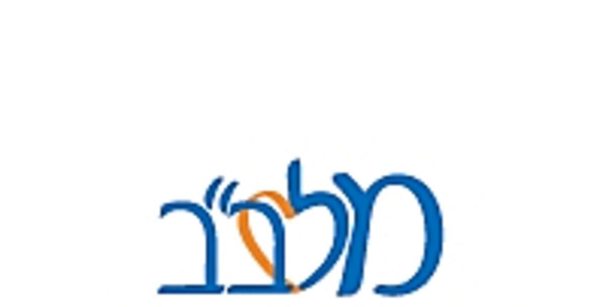 Read more about the article מלב"ב